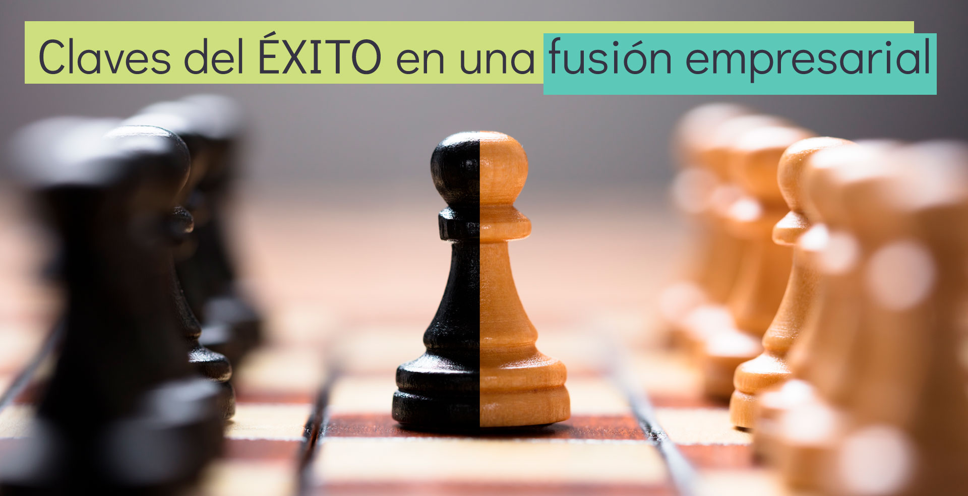 exito-fusion-empresarial